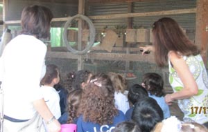 learning about birds.JPG